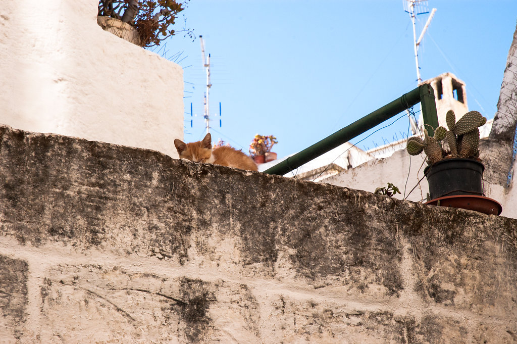 polignano-1378.jpg