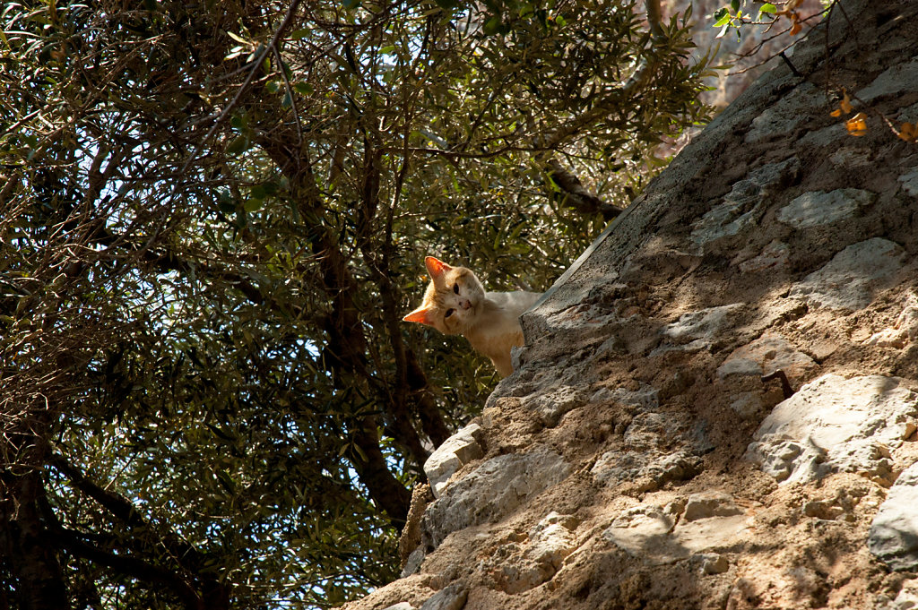 monemvasia-24.jpg