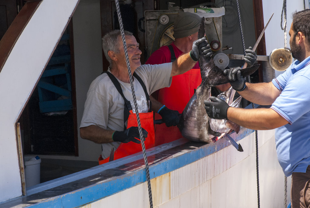 Savelletri, Unloading the catch