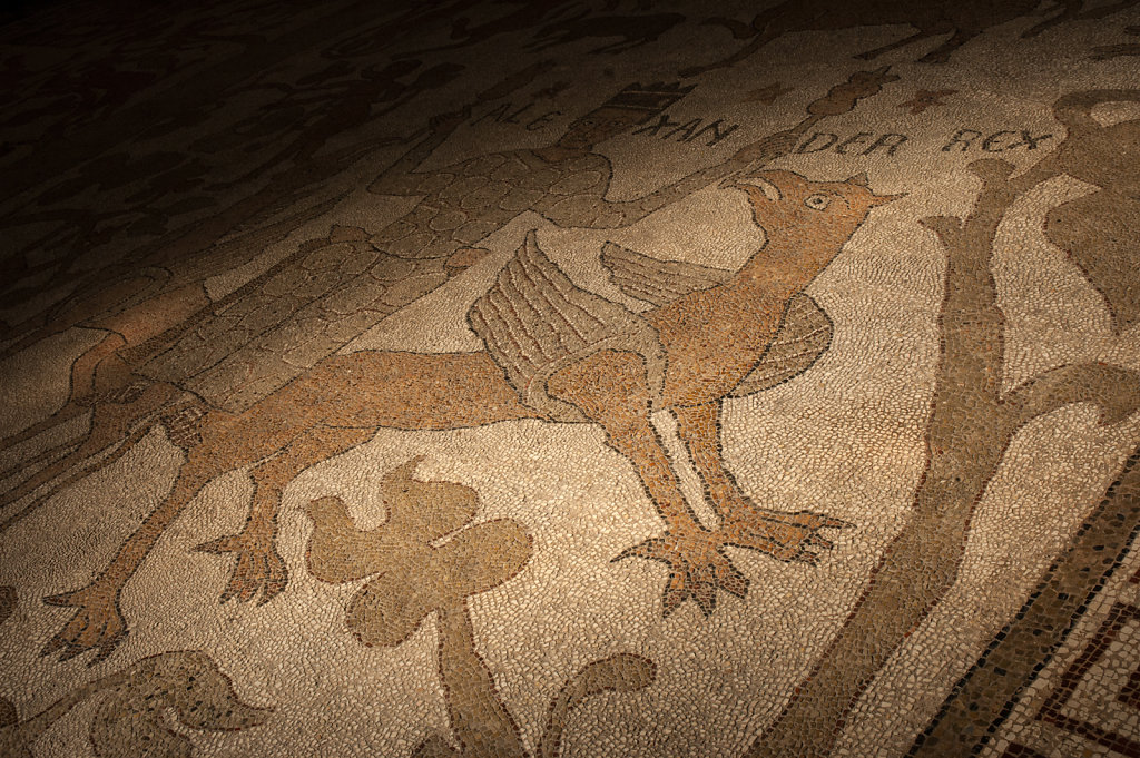 Cripta della Cattedrale Mosaic Floor - Otranto
