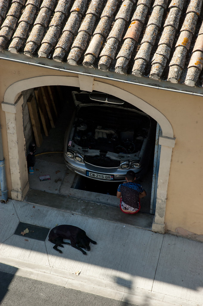 aigues-mortes-mechanics-dog.jpg