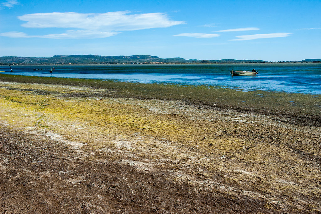 Etang de Bages Sigean