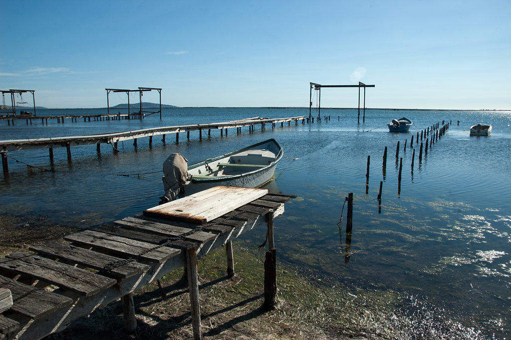 Etang de Thau