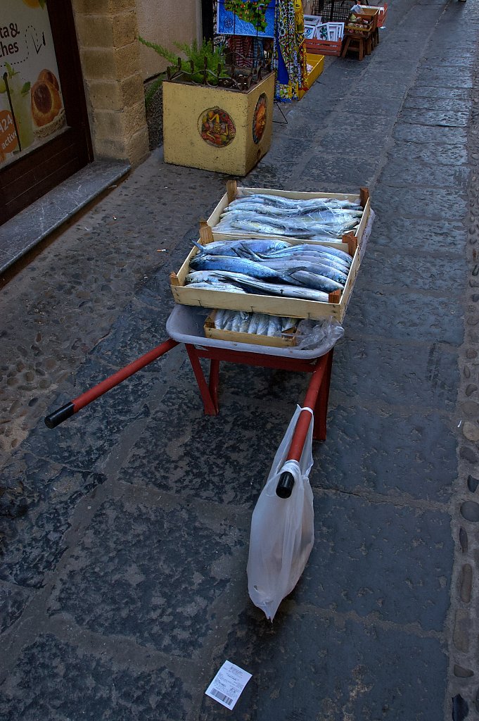Via Vittorio Emanuele, Cefaul fish delivery
