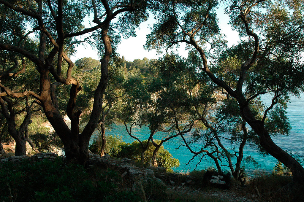 Marmari Beach Loggos