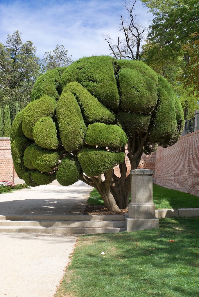 El Retiro Park-Parterre Garden