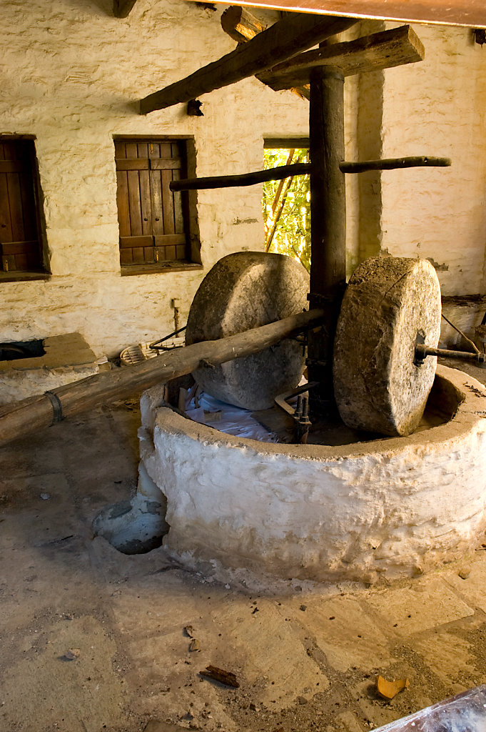 Olive Mill